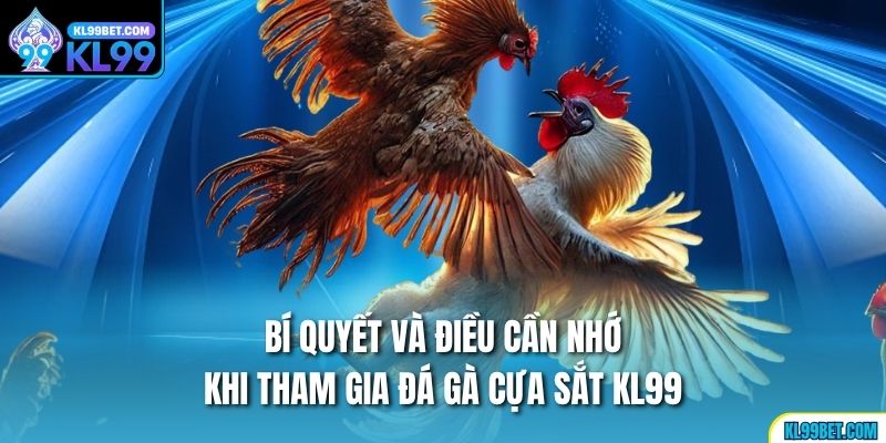 Bí quyết và điều cần nhớ khi tham gia đá gà cựa sắt KL99