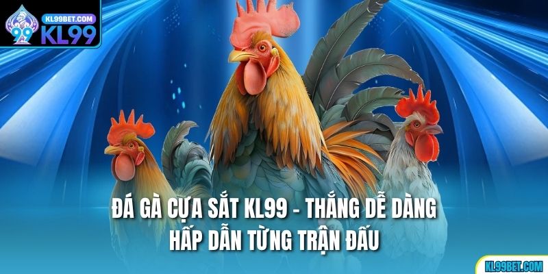 Đá Gà Cựa Sắt KL99 - Thắng Dễ Dàng, Hấp Dẫn Từng Trận Đấu